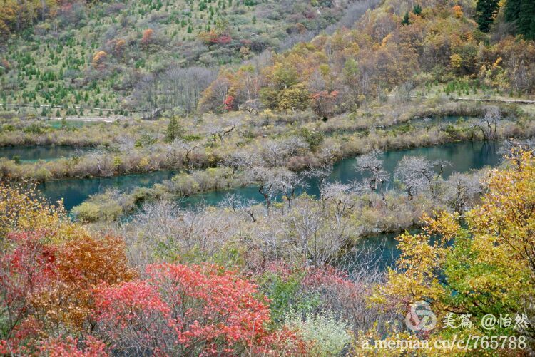 九寨沟让人失语的美丽童话世界,九寨沟有没有童话世界的景点