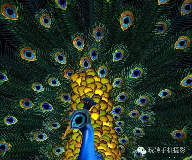 花卉我们看多了，但由上千名裸模组成的就第一次见！