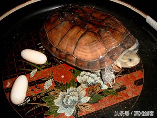 村姑发飙,村姑骂老太婆