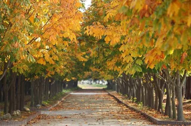 过去与现在的遇见,过去与未来的邂逅