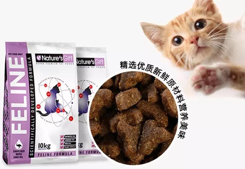 猫咪适合吃什么猫粮,猫粮品种推荐图片