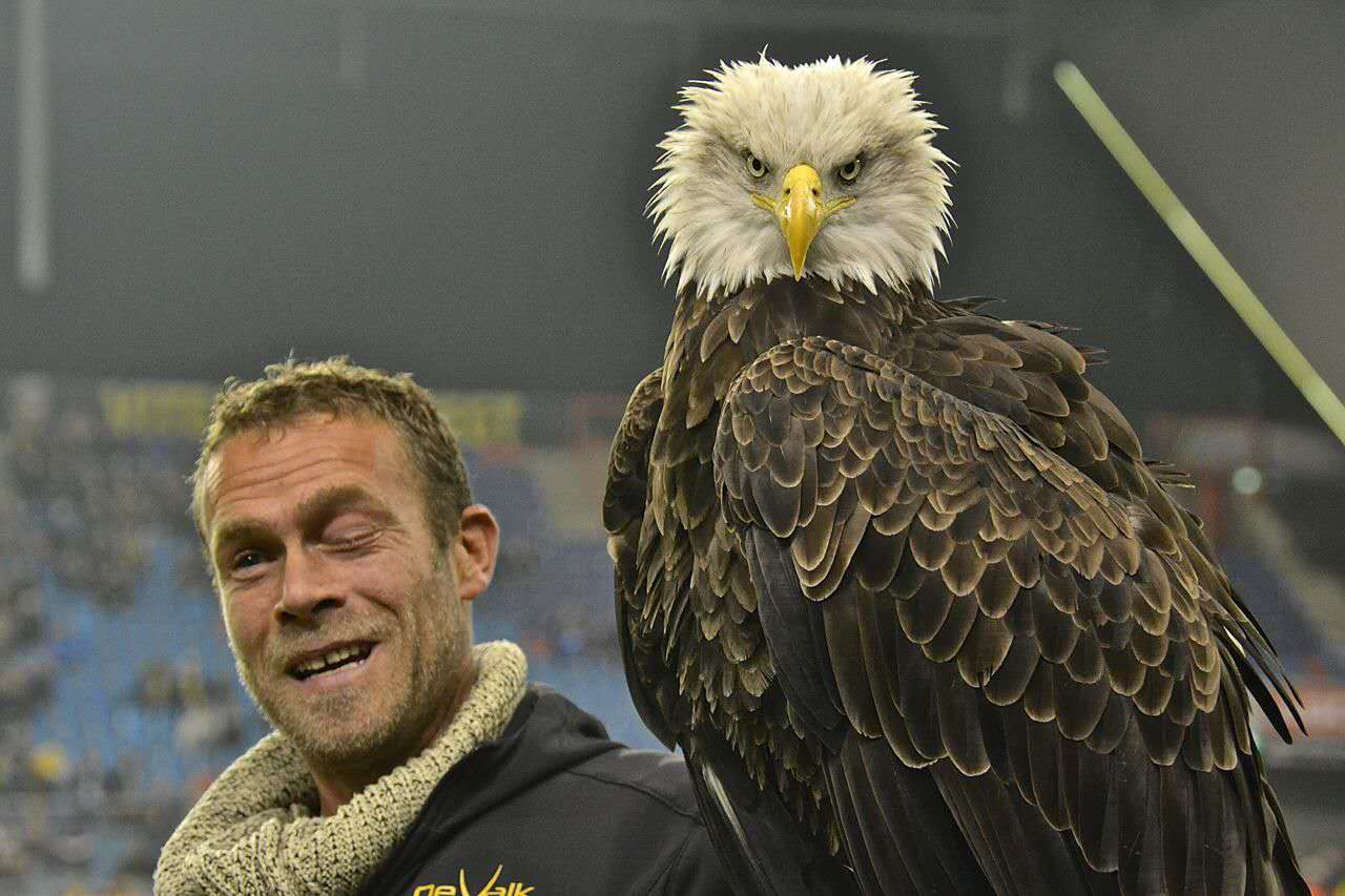 维特斯张玉宁进球,2018年世界杯亚洲12强赛张玉宁