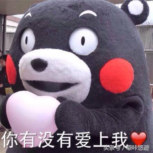 熊本熊游玩,日本熊本熊旅游