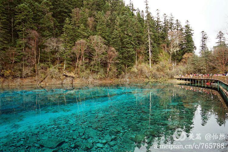 九寨沟让人失语的美丽童话世界,九寨沟有没有童话世界的景点