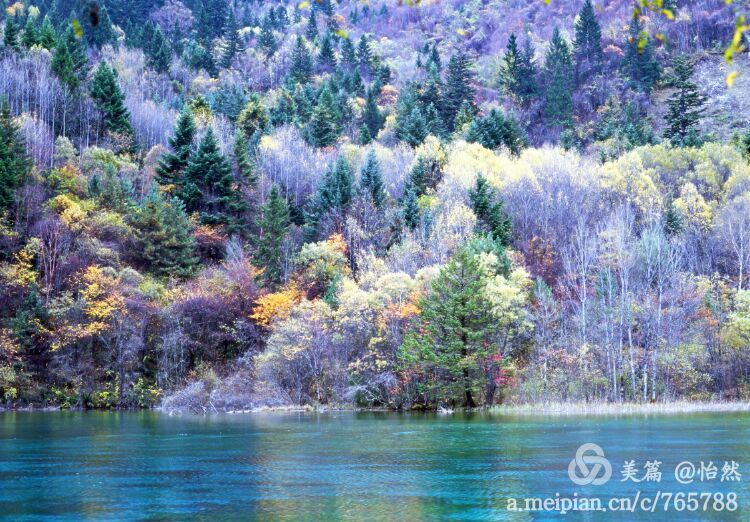 九寨沟让人失语的美丽童话世界,九寨沟有没有童话世界的景点