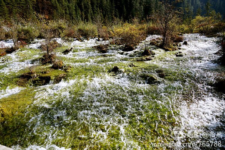 九寨沟让人失语的美丽童话世界,九寨沟有没有童话世界的景点