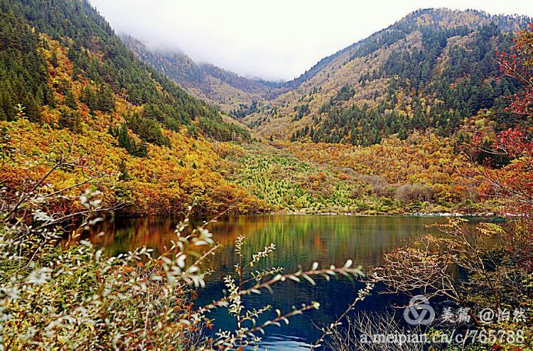 九寨沟让人失语的美丽童话世界,九寨沟有没有童话世界的景点