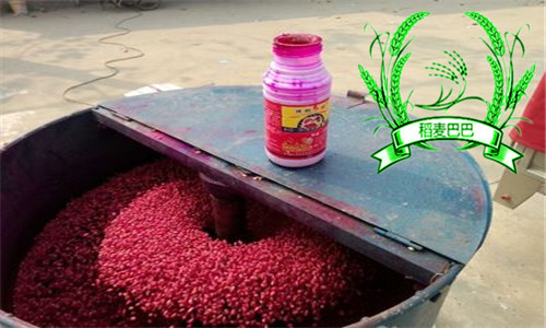 小麦拌种防病治虫高产管理技术,小麦一喷三防确保农民有个好收成