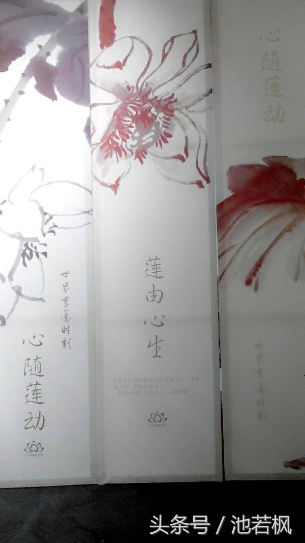 青岛，女汉子和小清新提前过端午