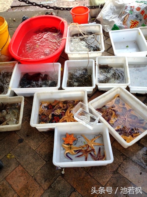 青岛，女汉子和小清新提前过端午