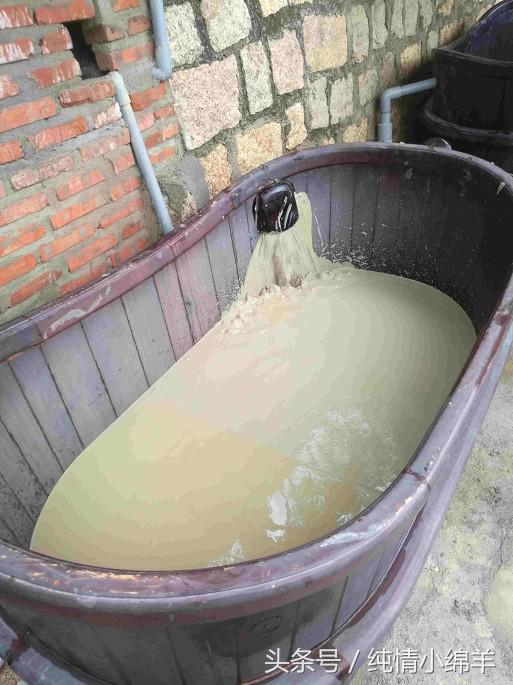 从南走到北有滋有味,从南到北有趣的灵魂