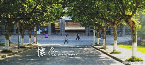 描写校园的优美句子,校园夕阳西下的唯美句子