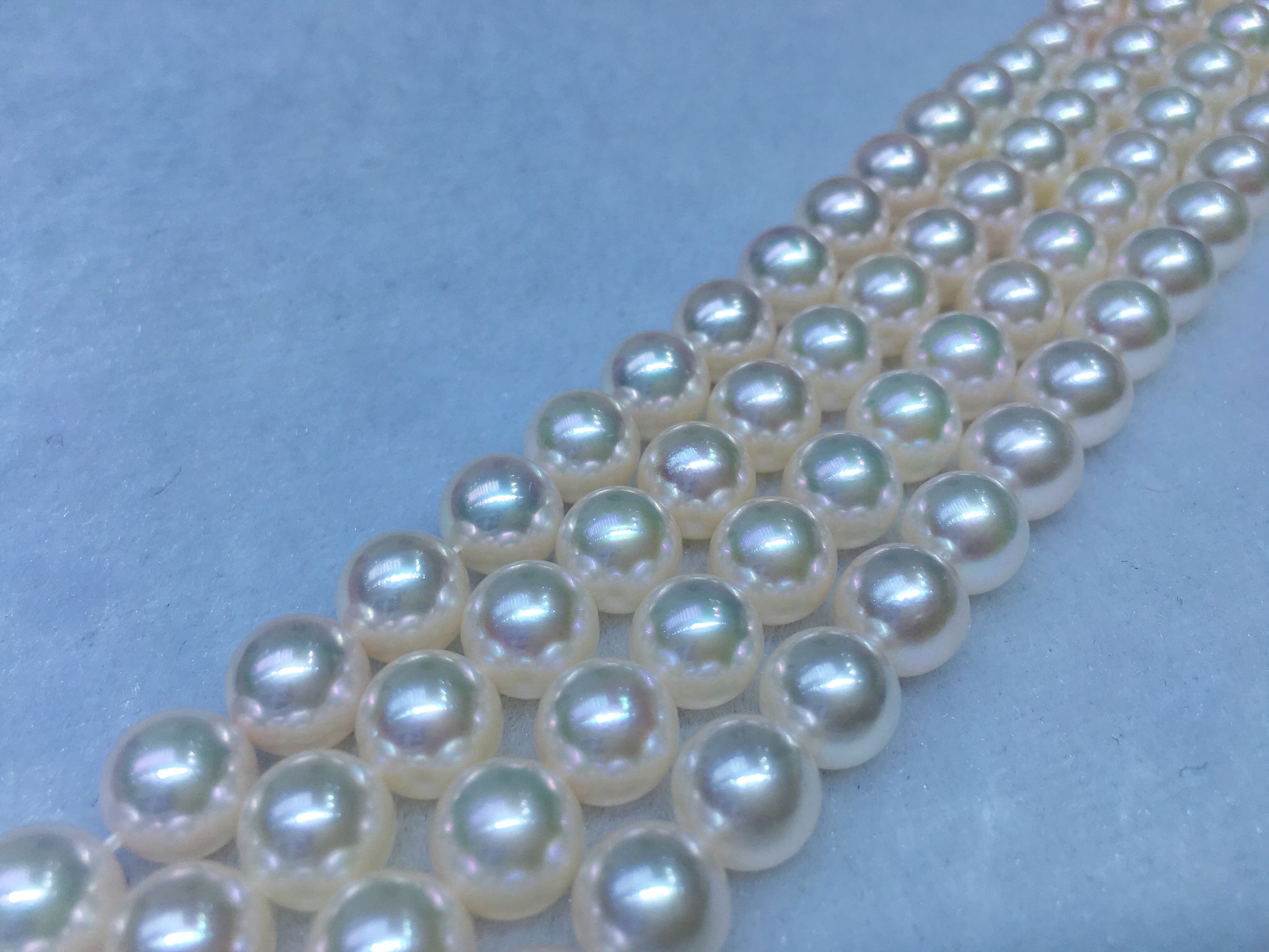 日本海水珍珠akoya等级,日本珍珠akoya如何鉴定