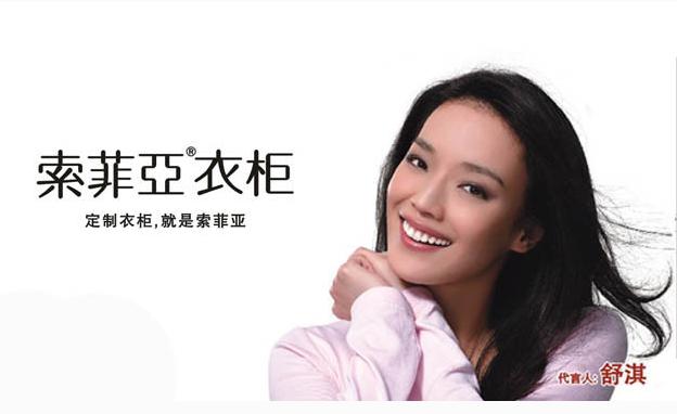 什么板材做衣柜好十大品牌,整体衣柜哪个品牌好