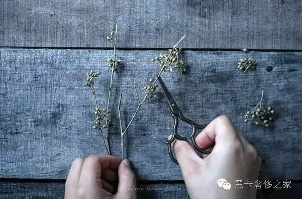 不要爱马仕不要LV,90后情侣花6万块造了个300㎡的大房子