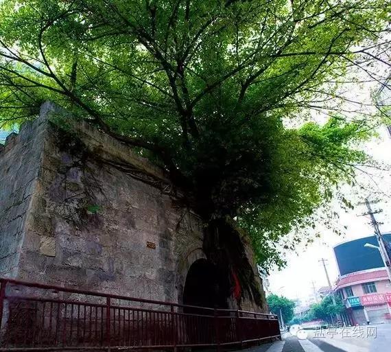 盐亭之所以叫盐亭，居然是因为