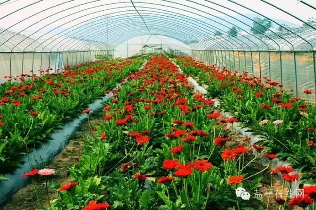 盐亭之所以叫盐亭，居然是因为