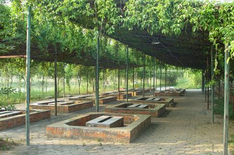 又到了夏天路边烧烤,又到了烧烤的时候