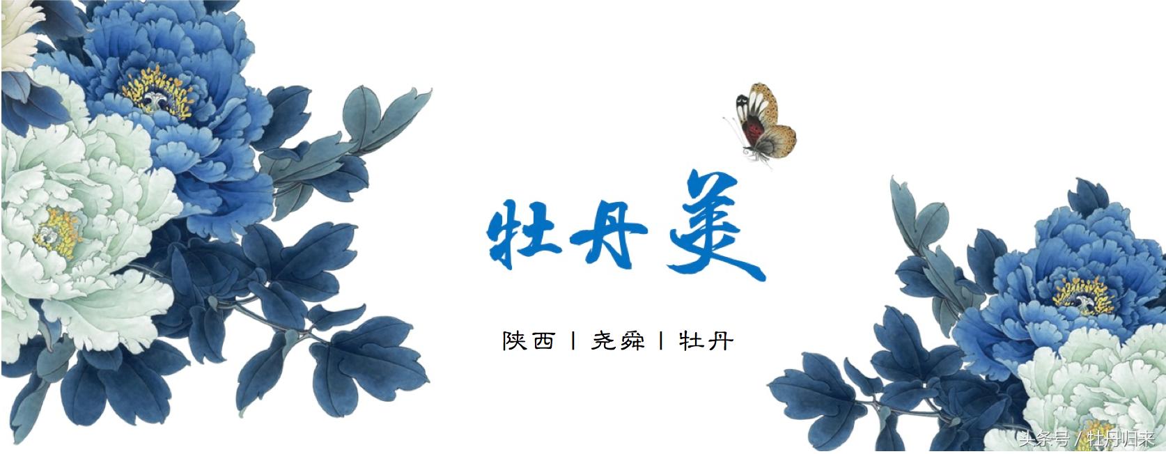 中国的十大国花中有没有彼岸花,十大国花是哪几种花