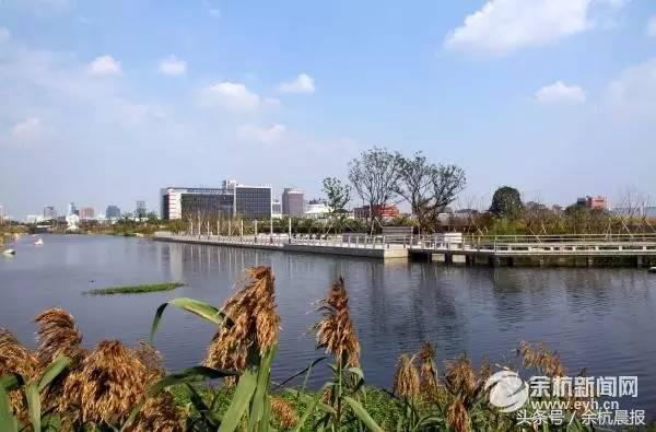 15个足球场,15座专业足球场