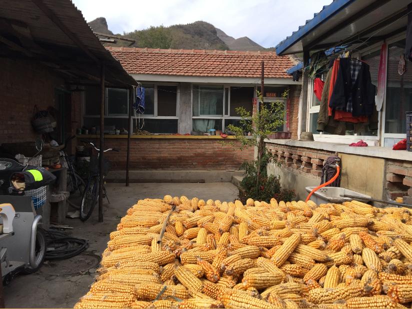 北京民宿小院整租,租北京小院