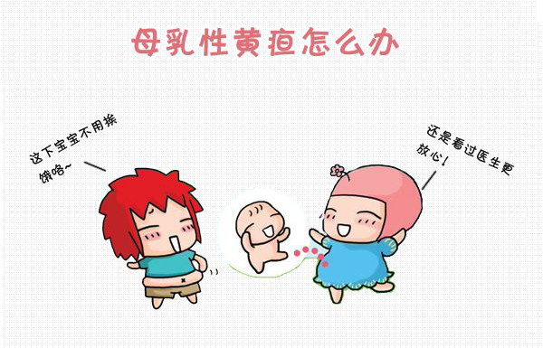 母乳性黄疸的三大特征是什么,母乳性黄疸是哪种胆红素高