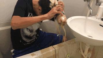 地球上有什么种类的可乐呢,世界上有多少种可乐