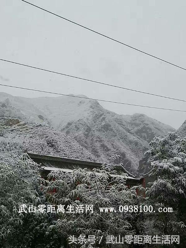 武山唯美雪景，一眼看到的不是寒冷，而是陶醉（图文/周海燕）