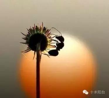 timeofourlives歌词德语,timeofourlife钢琴谱