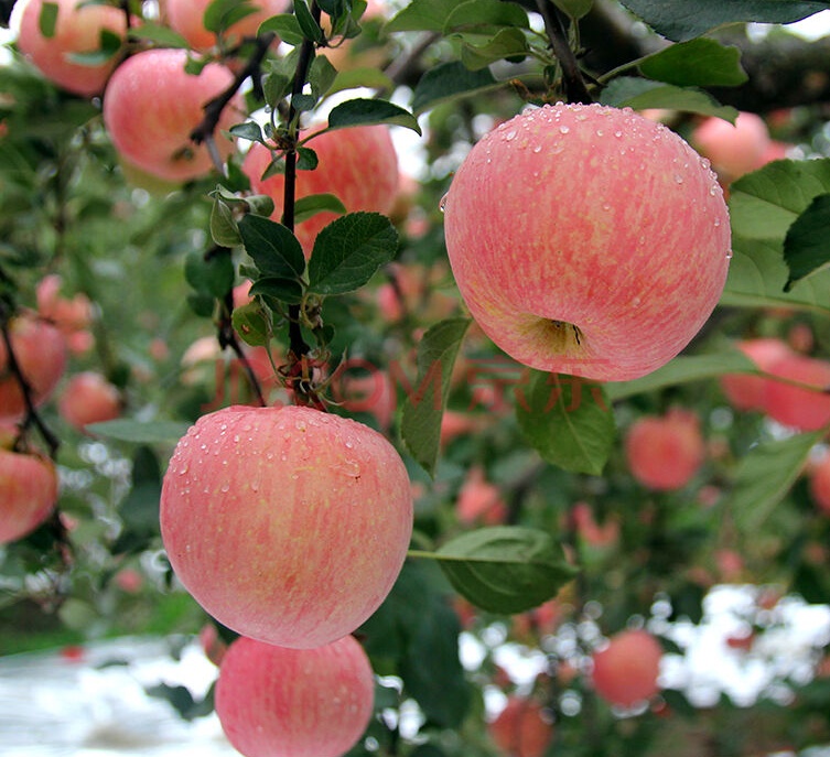 眼部护眼最好的方法,护眼最强眼部保养产品