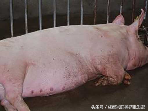 浜у悗姣嶇尓渚跨濡備綍瑙ｅ喅,浜у悗姣嶇尓渚跨濡備綍娌荤枟