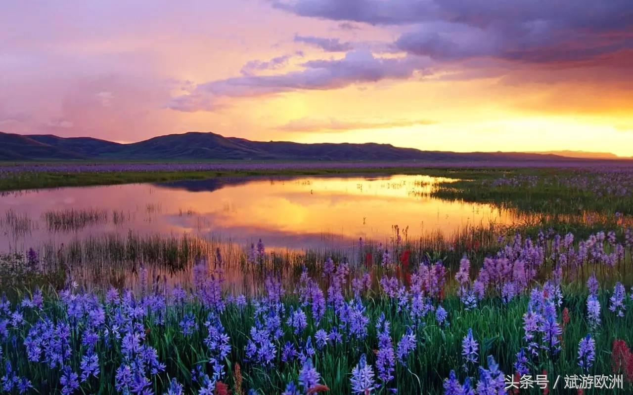 去法国老佛爷购物怎么退税,法国怎么才能退税