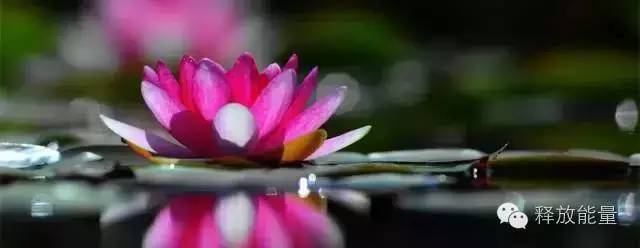 星云大师如何正确消除心理内耗,星云大师控糖