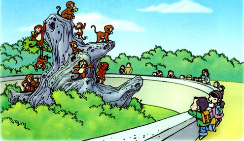 家长如何引导孩子写看图写话,一年级看图写话训练与家长沟通