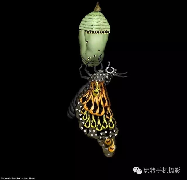 花卉我们看多了，但由上千名裸模组成的就第一次见！