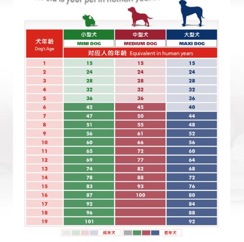 人和狗狗的年龄怎么算？