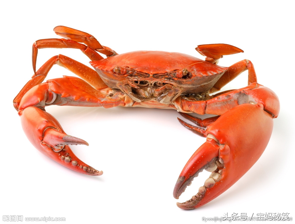 孕妇到底那些东西不能吃，孕期忌食食物