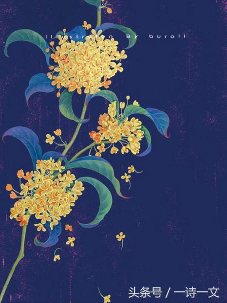 《唯有丹桂飘香八月馥郁芬芳》我，想你了荼蘼花事春已了