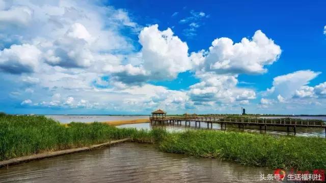 最能代表哈尔滨的图,哈尔滨城市形象符号