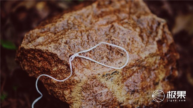 这盒子还没手掌大，里面的工具却比工具箱还全，野外保命全靠它