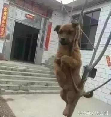 奇葩搞笑：国产抗日神剧太雷人！竟有战士打鬼子时在玩手机...