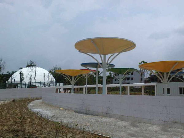 厉害了word哥,厉害了word哥视频