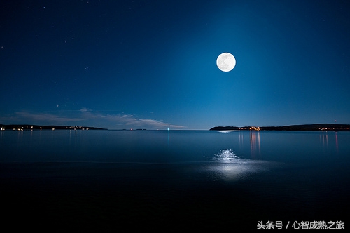 小二，来一碗毒鸡汤（你敢喝吗？）