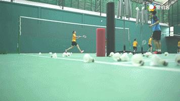 羽毛球技术流打法因达农,羽毛球因达农单打比赛视频