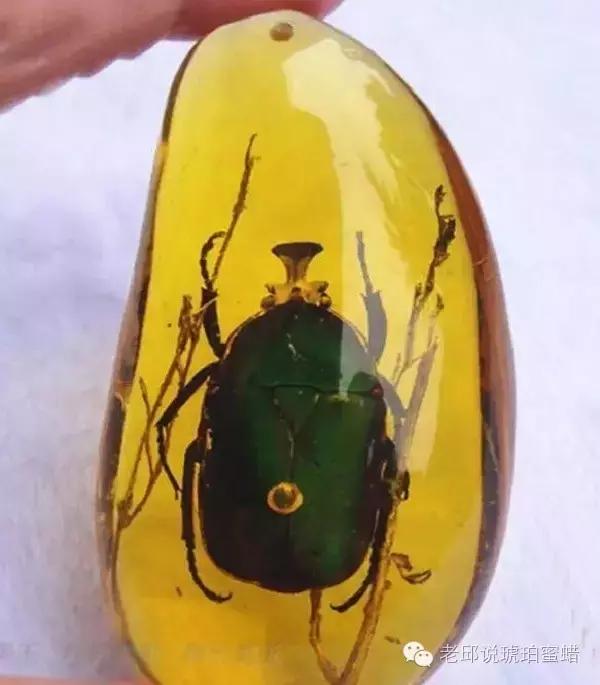 鎭掑疄鑰侀偙,鎭掑疄鐞ョ弨鑰侀偙鐩存挱