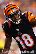 福布斯2019最赚钱富豪,福布斯明星收入前十名