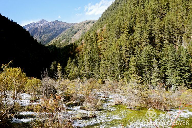 九寨沟让人失语的美丽童话世界,九寨沟有没有童话世界的景点