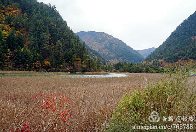九寨沟让人失语的美丽童话世界,九寨沟有没有童话世界的景点