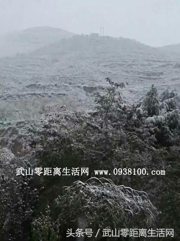 武山唯美雪景，一眼看到的不是寒冷，而是陶醉（图文/周海燕）
