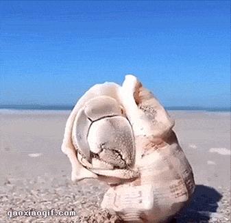 1分钟剥鸡蛋视频,1分钟快速剥鸡蛋方法